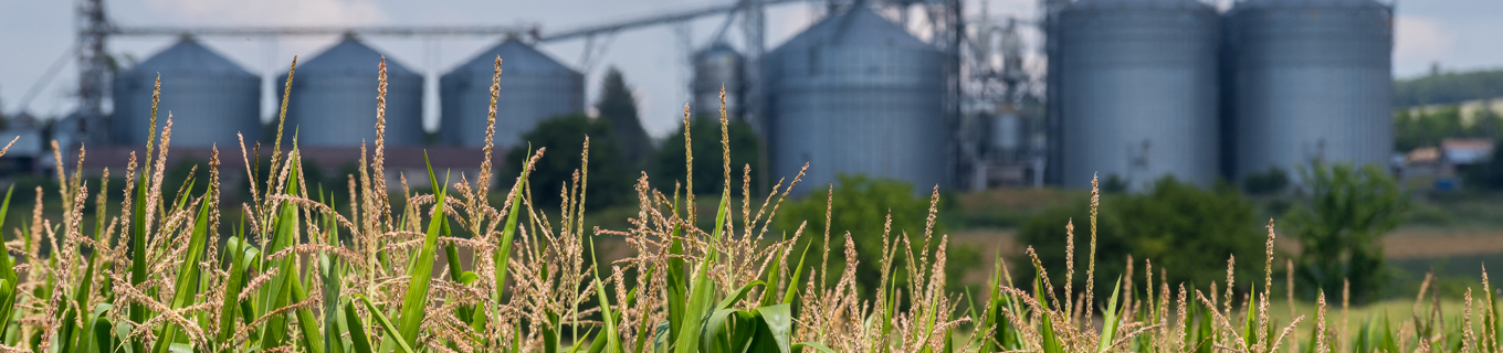 Truck and silo 