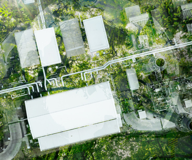 Factory roof