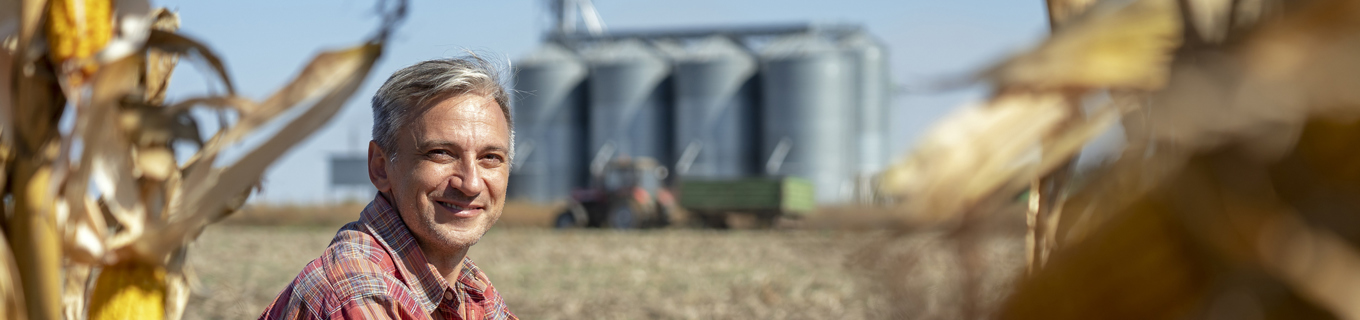 Man sitting in corn field